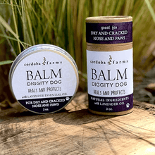 Cordoba Farms Balm Diggity Dog Paw Protection