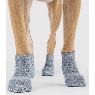 Canada Pooch The Basic Sock - 2 colors