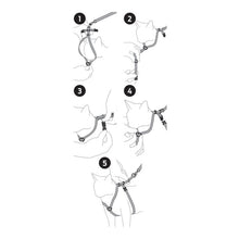 Premier Pet Come With Me Kitty - Harness & Bungee Leash Set - 4 Colors