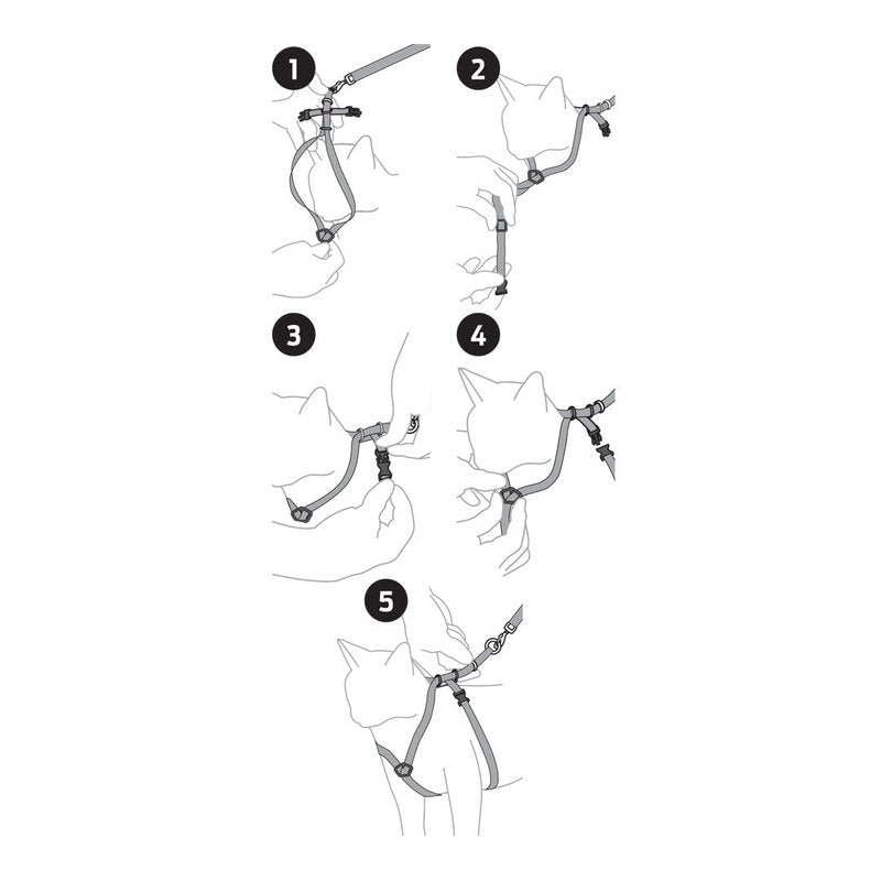 Come with me kitty harness instructions clearance