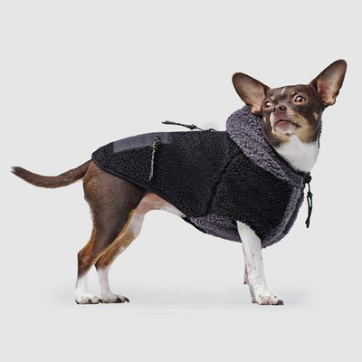 Canada Pooch Cool Factor Hoodie in Black & Grey