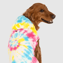 Canada Pooch No Authority Hoodie in Tie Dye