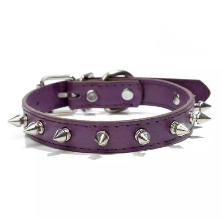 Leather Studded Spike Collars for Small & Medium Dogs