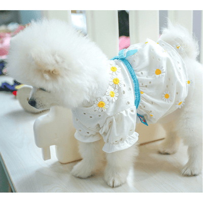Daisy & Bow Summer Dress White