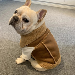 Suede Cashmere Vest for Fashionable Dog
