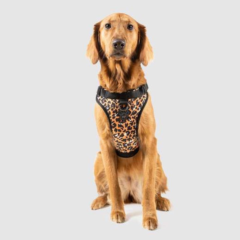Canada Pooch Everything Harness Water-Resistant Leopard