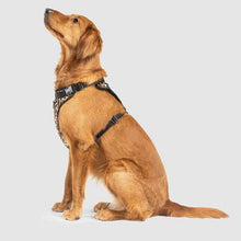 Canada Pooch Everything Harness Water-Resistant Leopard