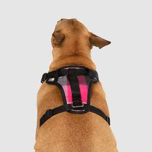 Canada Pooch Everything Harness Water-Resistant Pink Plaid