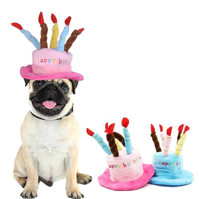 Dress Up Birthday Candle Hat for dogs & cats