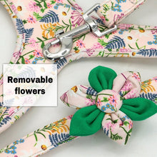 Stylish 3pcs Harness, Collar & Leash Sets in 2 colors & sizes