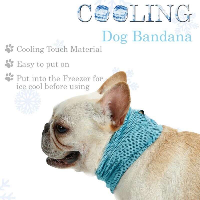 Cooling Snood Style Bandana – Poochie Moochie Pet Store West Edmonton