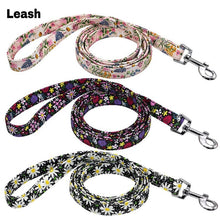 Stylish 3pcs Harness, Collar & Leash Sets in 2 colors & sizes