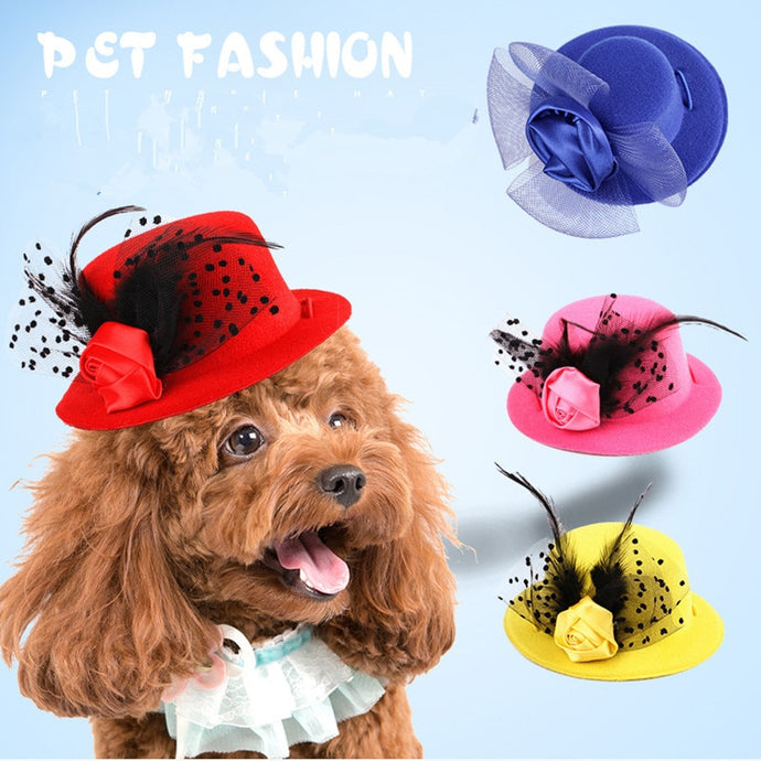 Fascinator Hats for Small Dogs or Cats