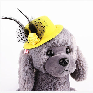 Fascinator Hats for Small Dogs or Cats