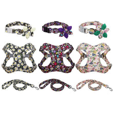 Stylish 3pcs Harness, Collar & Leash Sets in 2 colors & sizes