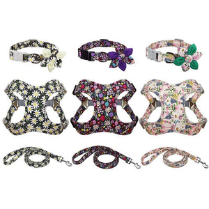 Stylish 3pcs Harness, Collar & Leash Sets in 2 colors & sizes