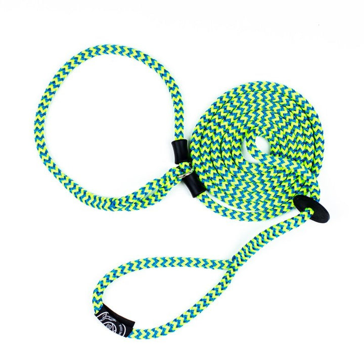 HarnessLead Leash - Gentle 'All in One' for No Pull/No Escape Walking