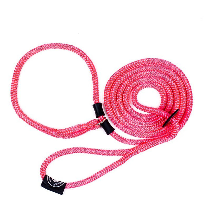 HarnessLead Leash - Gentle 'All in One' for No Pull/No Escape Walking