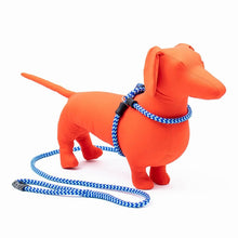 HarnessLead Leash - Gentle 'All in One' for No Pull/No Escape Walking