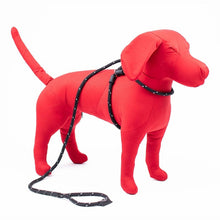 HarnessLead Leash - Gentle 'All in One' for No Pull/No Escape Walking