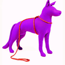 HarnessLead Leash - Gentle 'All in One' for No Pull/No Escape Walking