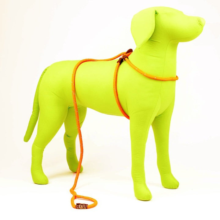 HarnessLead Leash - Gentle 'All in One' for No Pull/No Escape Walking