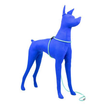 HarnessLead Leash - Gentle 'All in One' for No Pull/No Escape Walking
