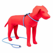 HarnessLead Leash - Gentle 'All in One' for No Pull/No Escape Walking