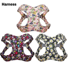 Stylish 3pcs Harness, Collar & Leash Sets in 2 colors & sizes