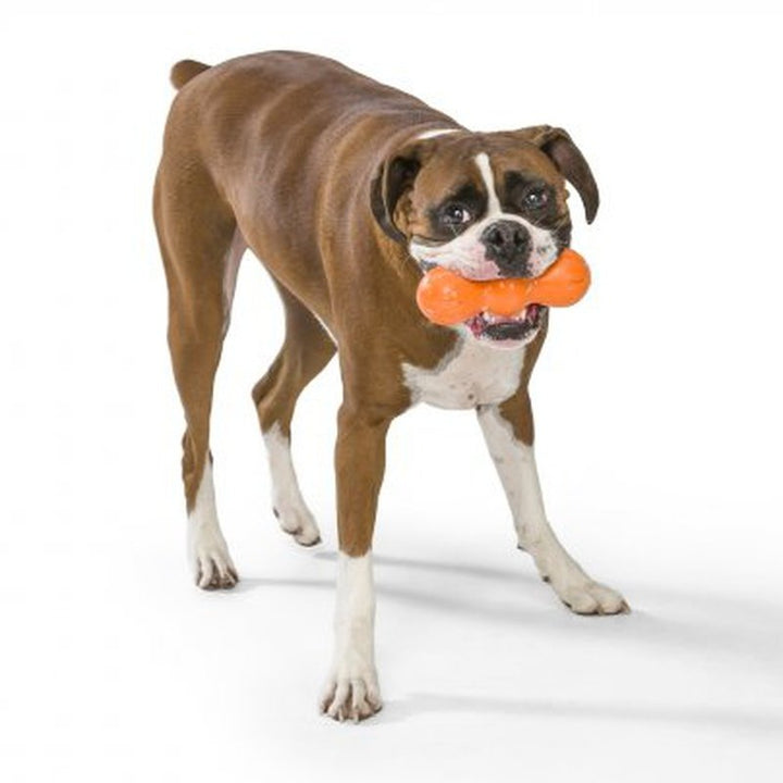 Rumpus with Zogoflex - Chew & Fetch for Tough Chewers