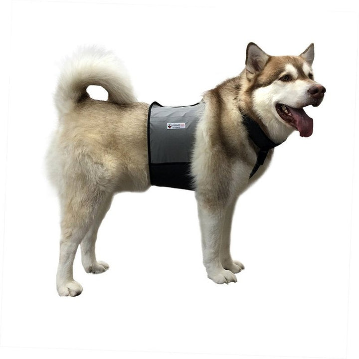 Cooler Dog Cooling Vest+Collar