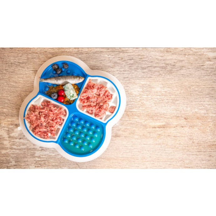 Raw Dog Food Licking Tray