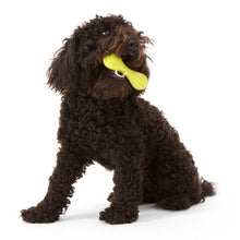 Hurley Dog Chew Toy for Tough Chewers