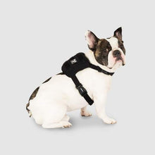 Canada Pooch Pack It Jacket Black/Yellow