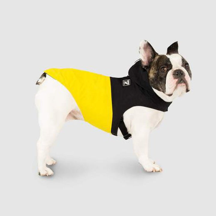 Canada Pooch Pack It Jacket Black/Yellow