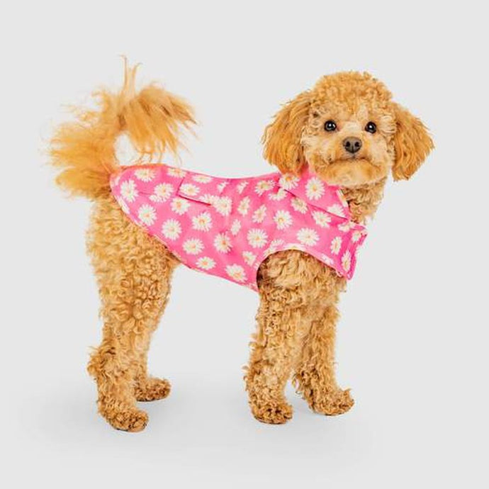 Canada Pooch Pick Me Rain Poncho Daisy