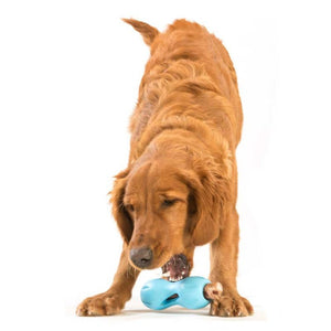 Qwizl Dog Toy for Tough Chewers, Plus Treat Toy