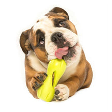 Qwizl Dog Toy for Tough Chewers, Plus Treat Toy