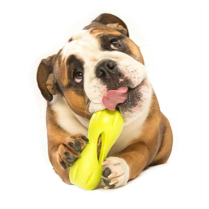 Qwizl Dog Toy for Tough Chewers, Plus Treat Toy
