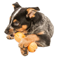 Qwizl Dog Toy for Tough Chewers, Plus Treat Toy