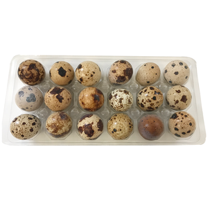 Quail Eggs Fresh Frozen 18ct