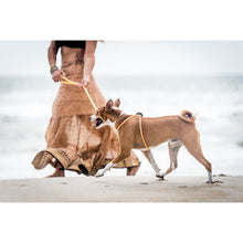 HarnessLead Leash - Gentle 'All in One' for No Pull/No Escape Walking