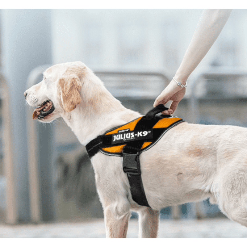 IDC POWAIR Summer Lightweight HarnessEdmonton, Dog Harness