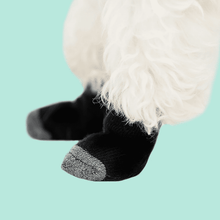 Walkee Paws Dog Liner Socks - 4 Sizes