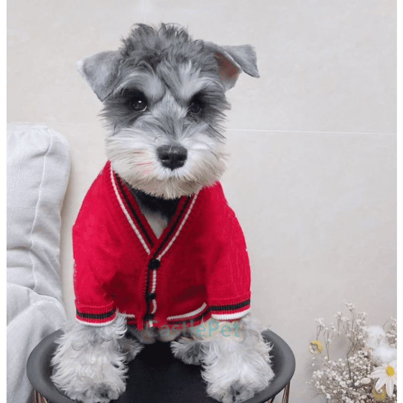 Dog best sale cardigan sweater