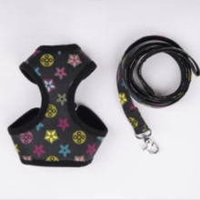 Leather Harness Set with Leash - Fashion Design