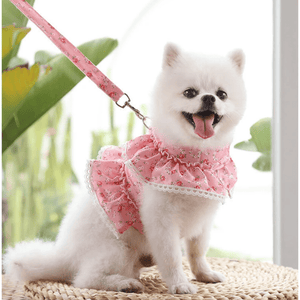 Tiny Floral Dress Harness/Leash Set for Small Dogs or Cats