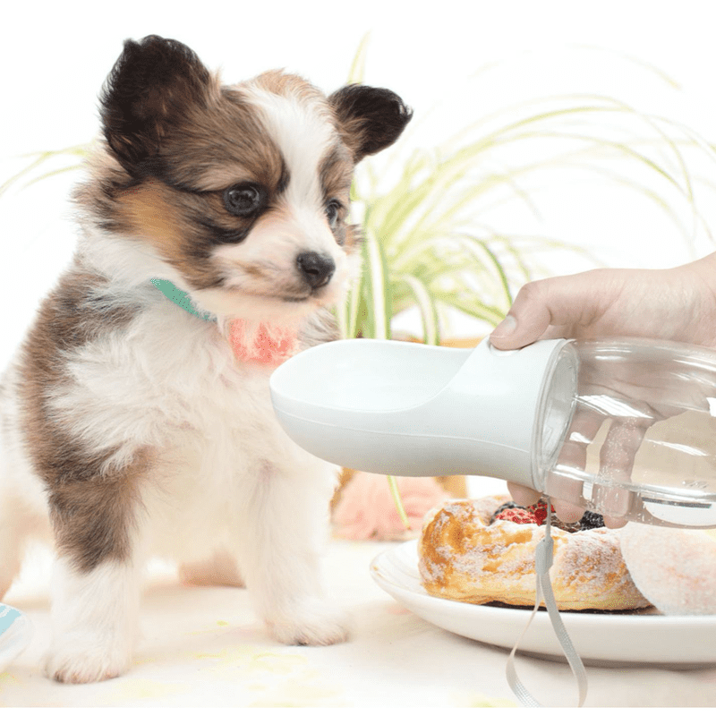 Portable Dog Water Bottle 350mL or 450 mL 550mL Poochie Moochie Pet Store West Edmonton