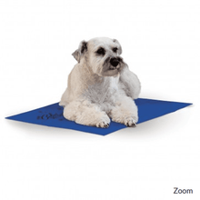 K&H Pet Products Coolin Pad Blue