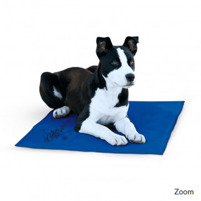K&H Pet Products Coolin Pad Blue